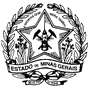 GOVERNO DO ESTADO DE MINAS GERAIS - SEE - CONSERVAT�RIO ESTADUAL DE M�SICA